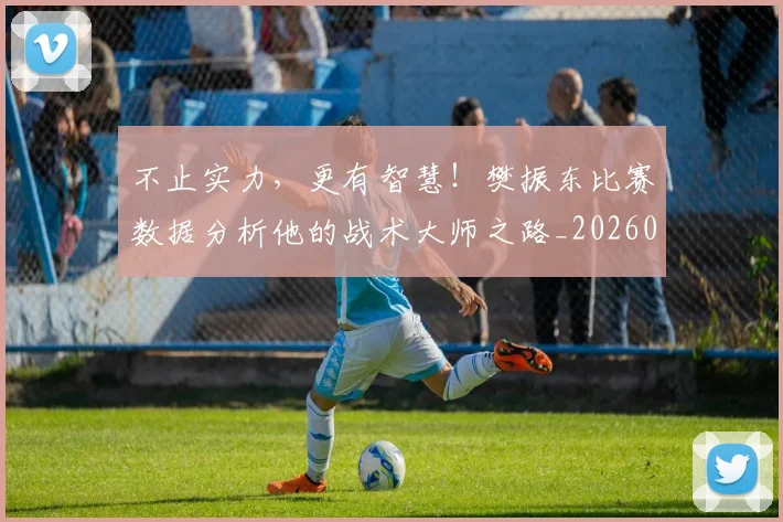 不止实力，更有智慧！樊振东比赛数据分析他的战术大师之路_20260531151319