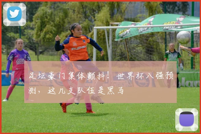 足坛豪门集体颤抖！世界杯八强预测，这几支队伍是黑马